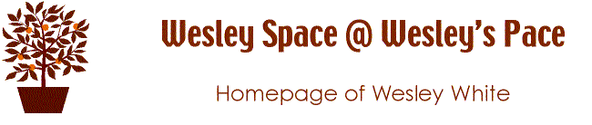 wesleyspace logo homepage of wesley white with tree of life image